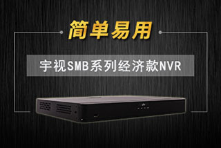 博亚SMB系列经济款NVR